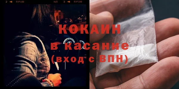 ГАЛЛЮЦИНОГЕННЫЕ ГРИБЫ Бородино