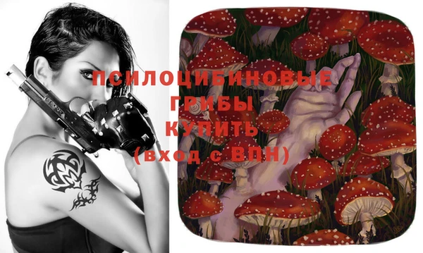 ГАЛЛЮЦИНОГЕННЫЕ ГРИБЫ Бородино