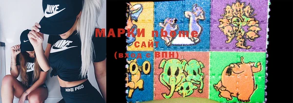 ГАЛЛЮЦИНОГЕННЫЕ ГРИБЫ Бородино