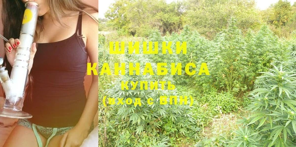 ГАЛЛЮЦИНОГЕННЫЕ ГРИБЫ Бородино