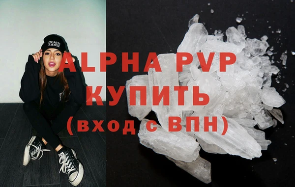 ГАЛЛЮЦИНОГЕННЫЕ ГРИБЫ Бородино